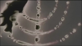 The Curse of Oak Island - Season 11 Episode 15